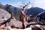 NaturSequiouaUSA449